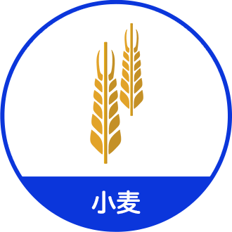 小麦